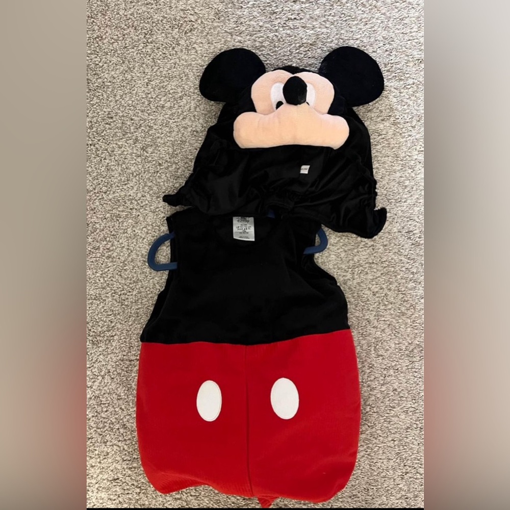 Disney Mickey costume